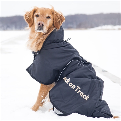 Back On Track Allround Hundedækken Standard